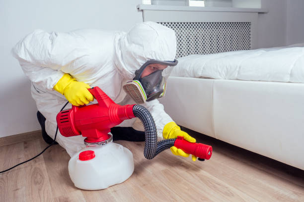 Best Local Pest Control Services  in Lisbon, OH