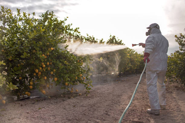 Best Commercial Pest Control Services  in Lisbon, OH