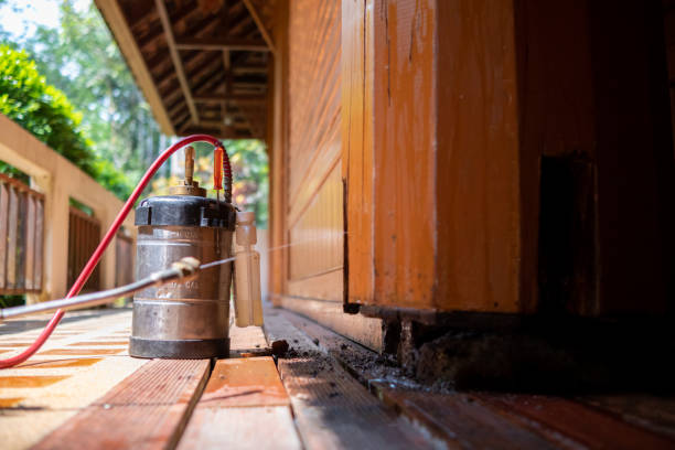 Wasp Removal Services in Lisbon, OH