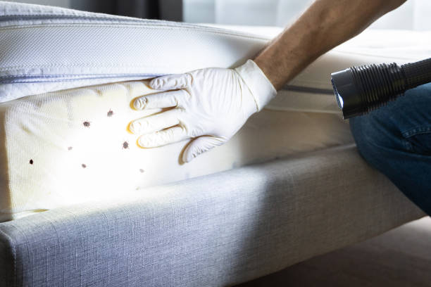 Best Exterminator Services  in Lisbon, OH