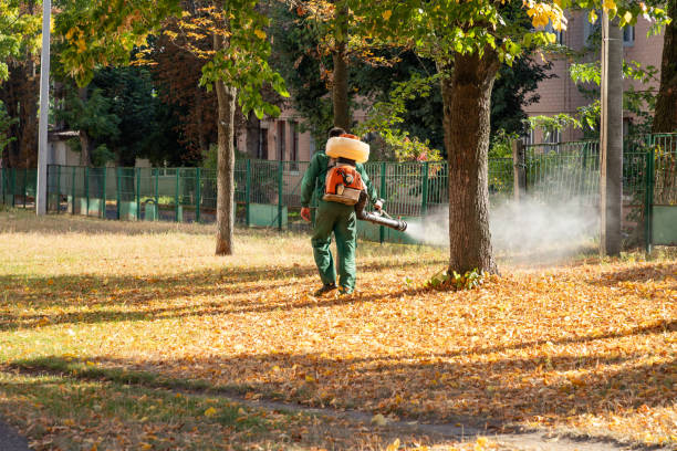 Best Insect Control  in Lisbon, OH